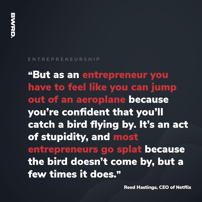 "But as an entrepreneur you have to feel like you can jump out of an aeroplane because you’re confident that you’ll catch a bird flying by. It’s an act of stupidity, and most entrepreneurs go splat because the bird doesn’t come by, but a few times it does."  – Reed Hastings, CEO of Netflix